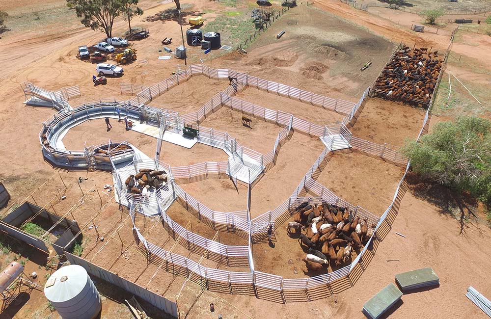 Time-tested range of standard cattle yard designs